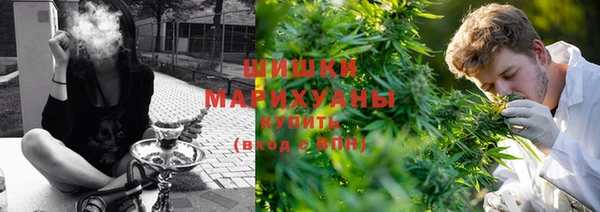бошки Алзамай